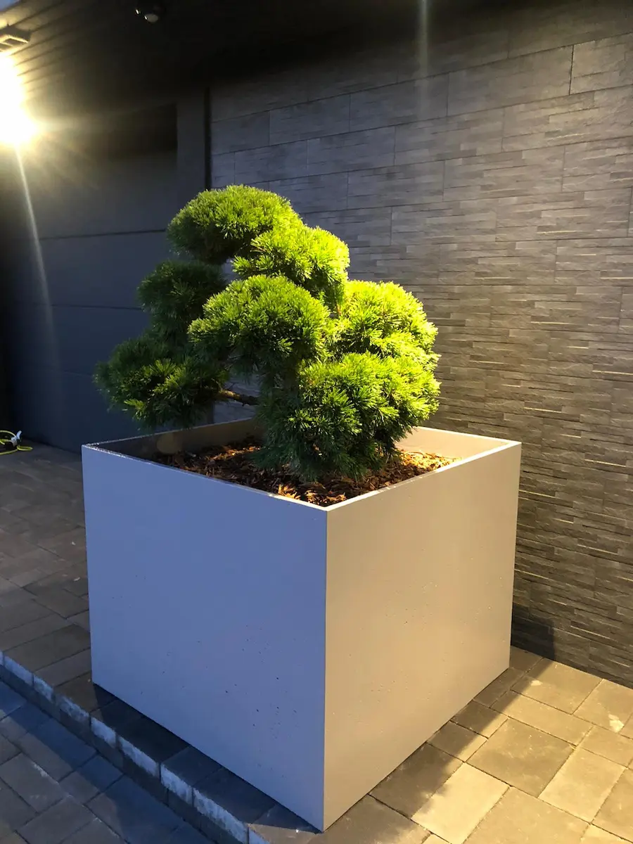 Polymer — flower pot